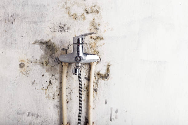 Best Emergency Mold Removal  in Lindale, GA