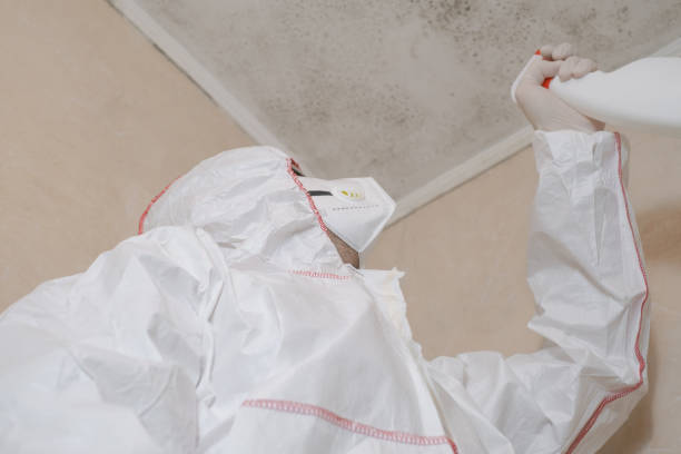 Best Professional Mold Removal  in Lindale, GA